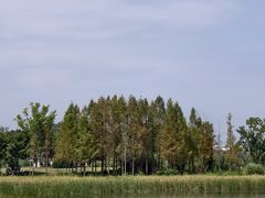 -姜胖胖无限自助烤肉(弹子石店)