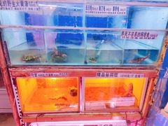 -山东柏宁水族批发广场