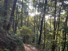 -广州市帽峰山景区