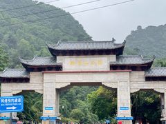 -黔灵山公园