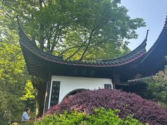 -十八棵（老龙井）御茶园(老龙井店)