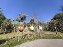 -嘉北郊野公园