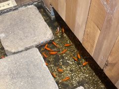 -邈墨茶馆(凤起路店)