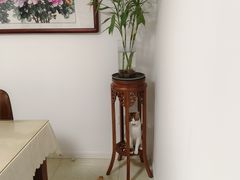 -艾贝尔宠物医院·宠保定点·超声绝育·免疫点(樱花路店)