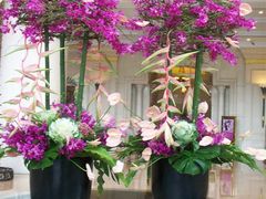 -FEI FEI FLOWER鲜花店·气球派对·宝宝宴布置(虹口德必运动Loft店)