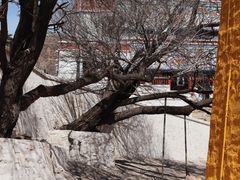 -五当召景区