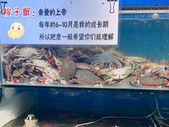 -仙螺岛海鲜自助餐厅(总店)