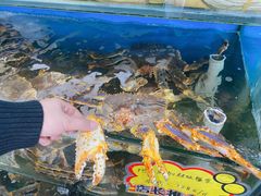 -蚝专家(北滘店)