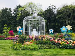 -上海共青森林公园