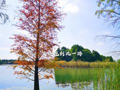 -迪士尼小镇