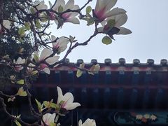 -大钟寺古钟博物馆