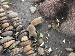 -西湖外事游船(湖滨二公园外事游船码头)