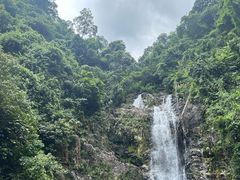 -鼎湖山风景区