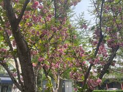 -赛百味SUBWAY(金宝汇店)