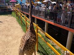 -西霞口神雕山野生动物世界