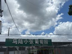 -马陆小张葡萄园农家乐