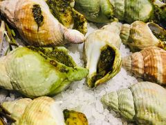 -囧吉香生蚝牛排馆(湖北路店)