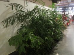 -特味村·宴会厅(生态园店)