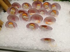 扇贝-安徽饭店·白鹭阁自助餐厅(梅山路店)