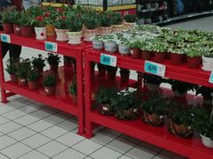 -大润发(东关世茂店)