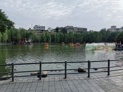 -莲湖公园
