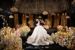 -DC大蔡婚礼策划(李公堤店)