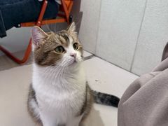 -平行世界·猫咖(首经贸店)