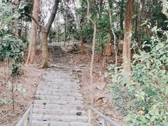 -番禺大夫山森林公园