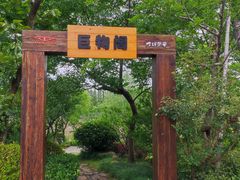 -上海长兴岛郊野公园