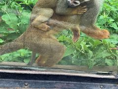 -石家庄市动物园