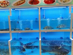 -聚丰园新概念餐厅(梅石路店)