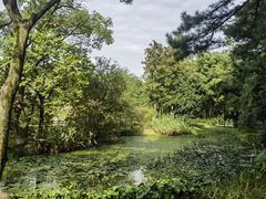 -杭州植物园
