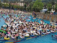 -重庆海昌加勒比海水世界