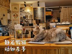-隅cafe(傅厚岗店)