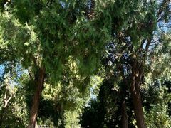 -莲池书院博物馆