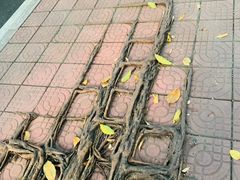 -西南政法大学(渝北校区)