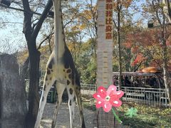 -无锡动物园·太湖欢乐园