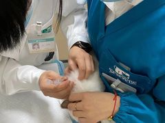 -安安宠医·臻爱宠物医院·宠保定点(营门口路分院)