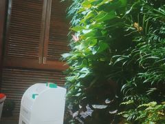 -泽云梵莲花足浴 按摩 SPA(滨湖店)