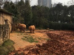 -南昌动物园
