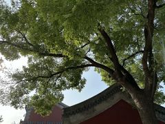 -莲池书院博物馆