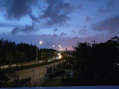 -宝安西湾红树林湿地公园