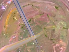 -Dampa Seafood Grill - Dubai