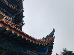 -铁山坪森林公园