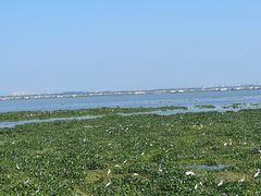 -阳澄湖半岛旅游度假区