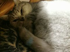 -不舍昼夜咖啡馆