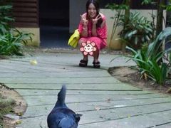 -吉隆坡雀鸟公园