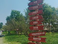 -秀丽东方
