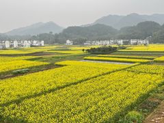 -新安江山水画廊风景区
