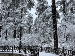 -瓦屋山景区
